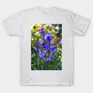 Spanish Bluebells T-Shirt